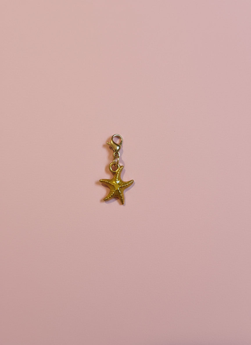 Charms - étoile de mer