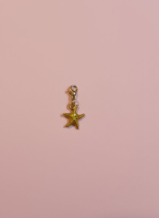 Charms - étoile de mer